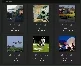 minipics.webp