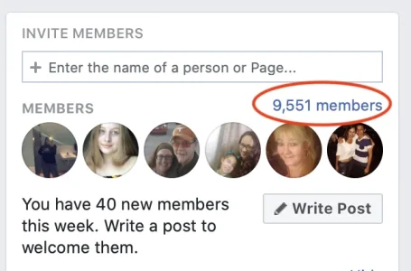 Screen Shot 2020-07-19 at 7.07.47 AM.png