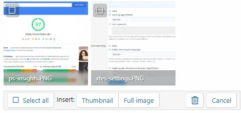 insert-selection.PNG
