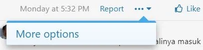 options menu.webp