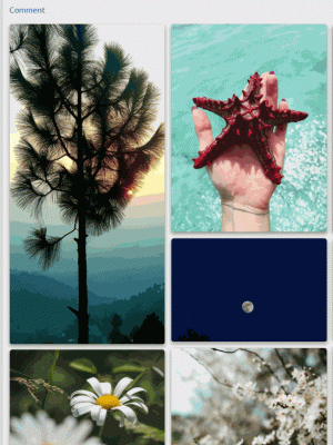 gallery animation 3.gif