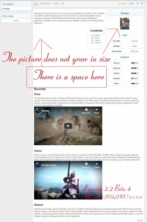 8wr_wiki_problem.webp