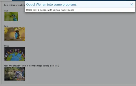 max-images-correct-warning.webp