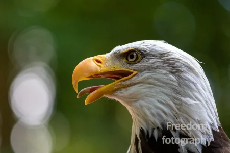 1600022518265.webp
