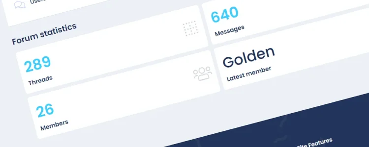 bolt2.webp