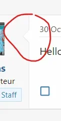 Capture d’écran 2020-11-24 112848.png