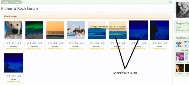thumbs.webp