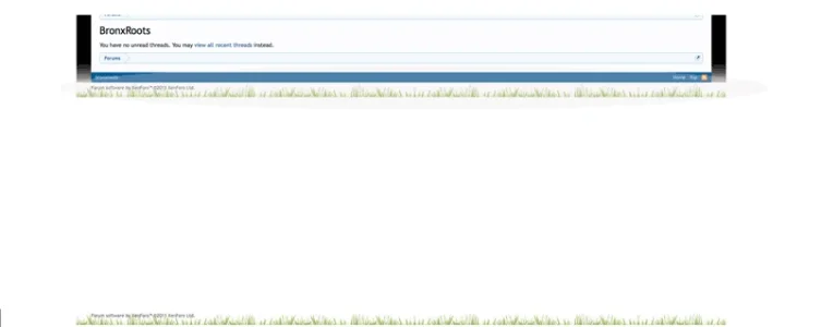 screen.webp
