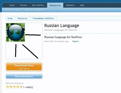 bug_1.webp
