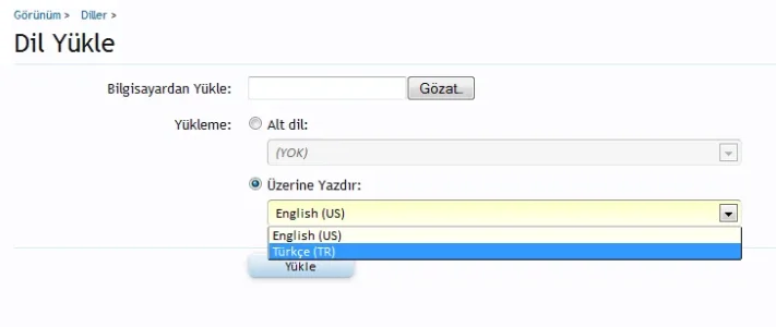 dil-yukle.webp