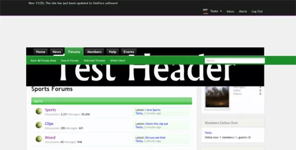 InternetExplorer.webp