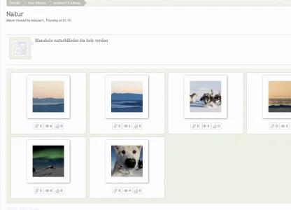 album.webp