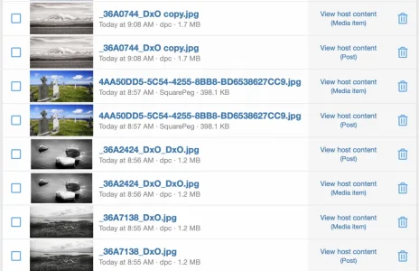 Screen Shot 2020-12-16 at 1.01.17 PM.webp