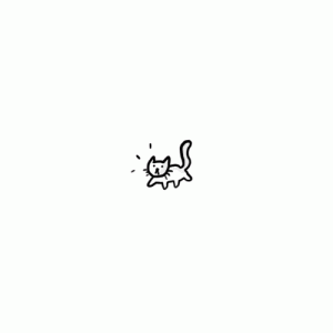 cat.gif