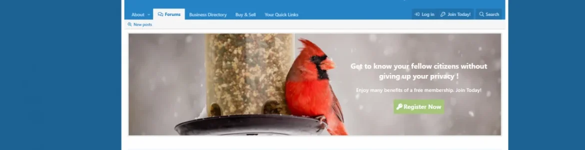 Screenshot (53).webp