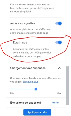 Capture d’écran 2021-01-18 205555.webp