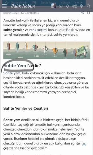 2DF18560-29E5-45E4-A552-B3E9FE824340.webp