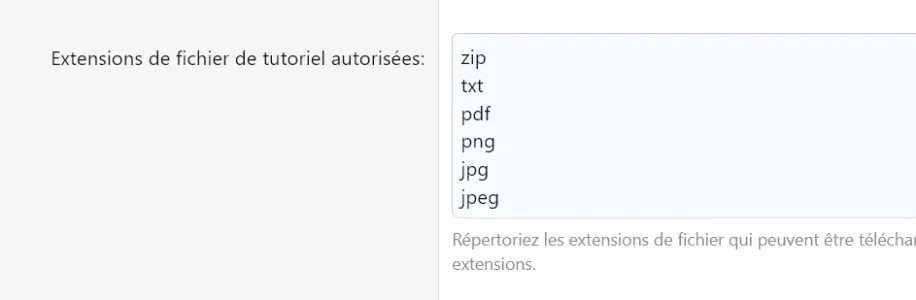 Capture d’écran 2021-02-03 225923.png