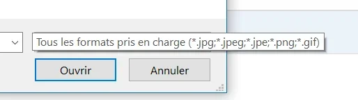 Capture d’écran 2021-02-03 225829.png