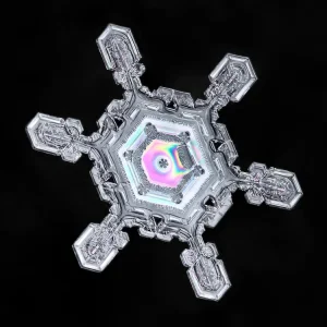 macro-snowflake.jpg