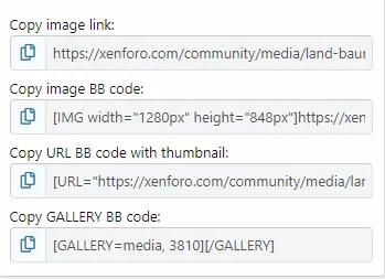 12-share.webp