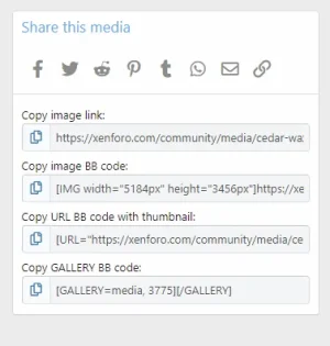 1615476969753.webp
