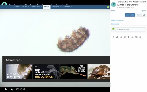 Screen Shot 2021-03-26 at 10.07.48 PM.webp