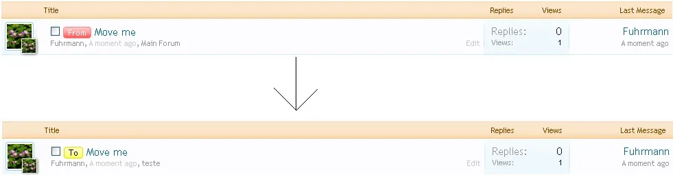 5.webp