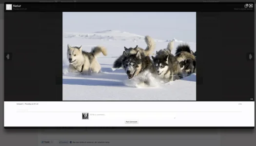 gallery.webp