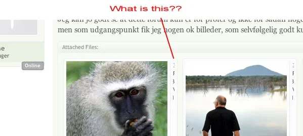 thumbs.webp