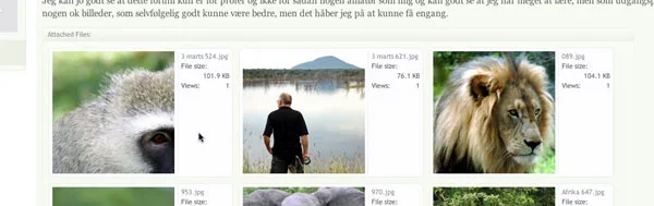 thumb3.webp