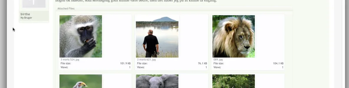large window.webp