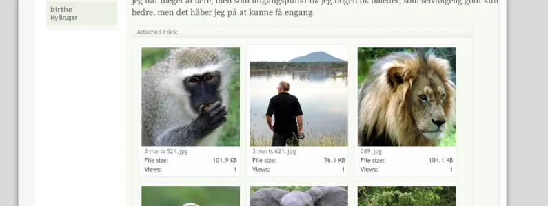 small window.webp
