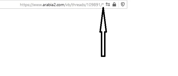 6.webp