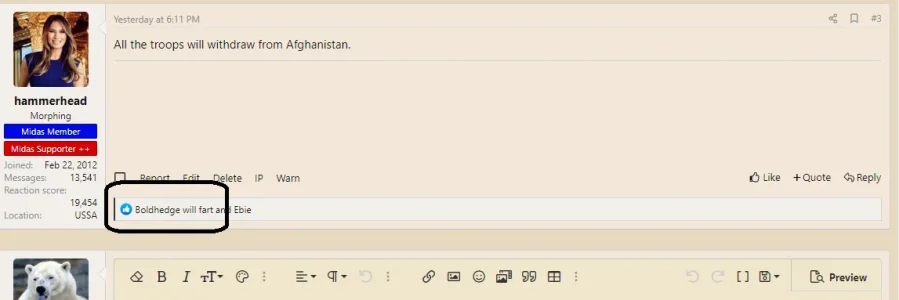 gim 1.webp