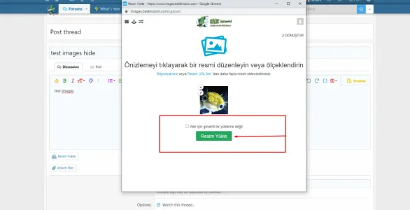 Screenshot_2.webp
