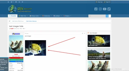 Screenshot_4.webp