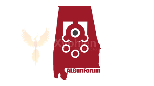 AI GUN FORUM Overlay.png