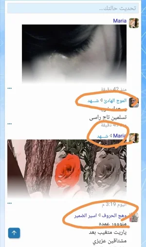 Screenshot_٢٠٢١٠٧١٩_١٦٣٢١٦.webp