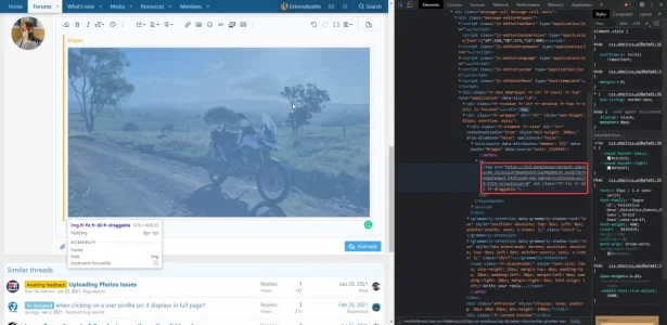 1627068569021.webp
