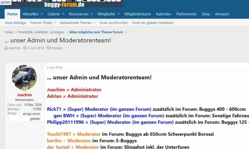 11.webp