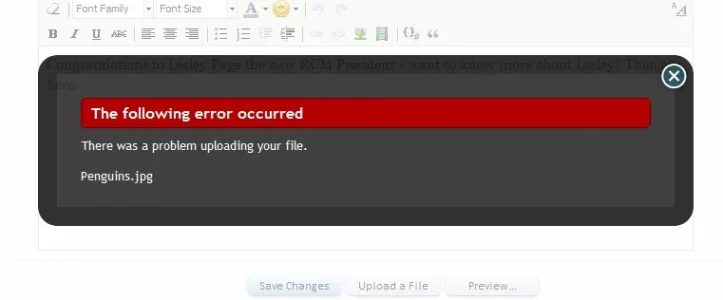 error.webp