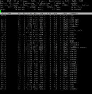 Capture.webp