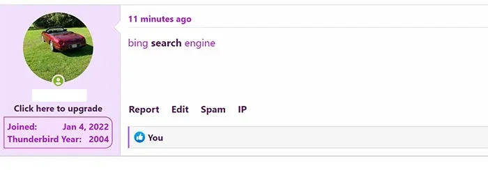 bing-search.webp