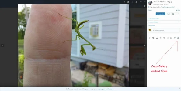 Embed button.webp