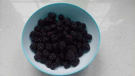 blackberries.webp