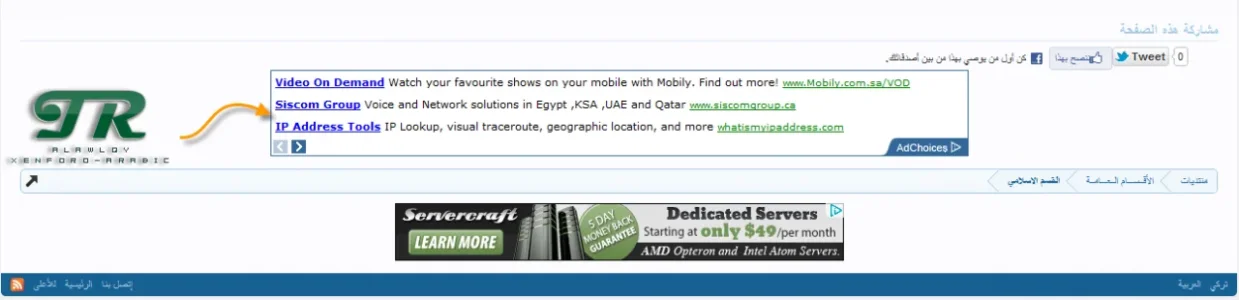 5.webp