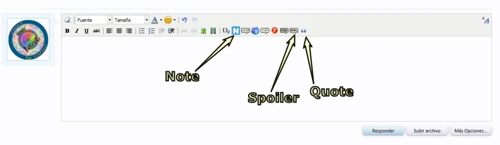 5.webp