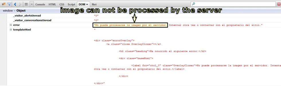 5.webp