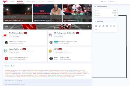 fake users online.webp
